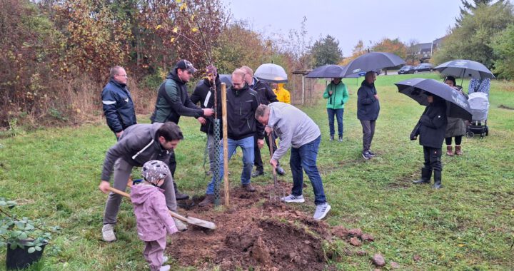 Väter bei der Pflanzung des sechsten Generationenbaumes